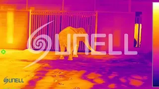 Тепловая камера Sunell-Танцы слонов