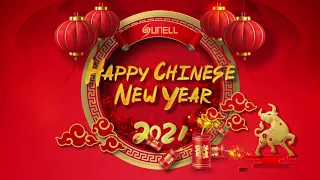 Sunell поздравляет вас с Новым 2021 годом